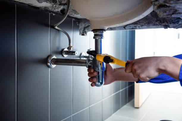 Best Residential Plumbing Services  in Carrington, ND